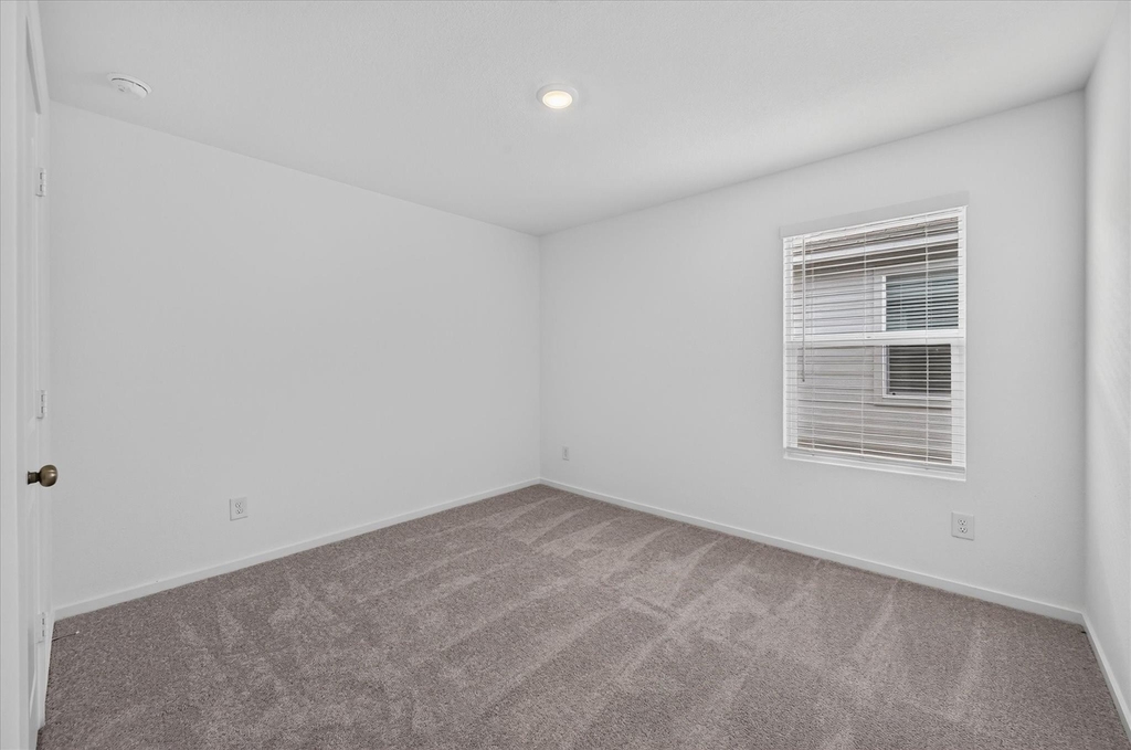5330 Cinnamon Lane - Photo 13