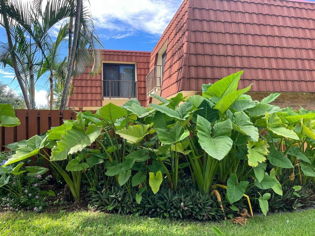 3008 San Clara Drive - Photo 15