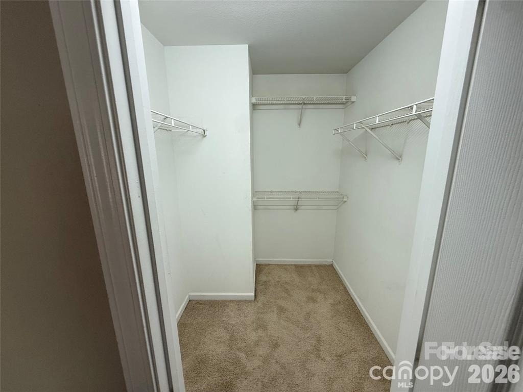 1063 Triece Lane - Photo 18