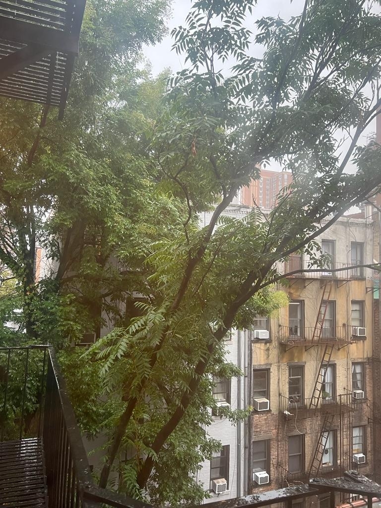 East 83rd Street - Photo 5