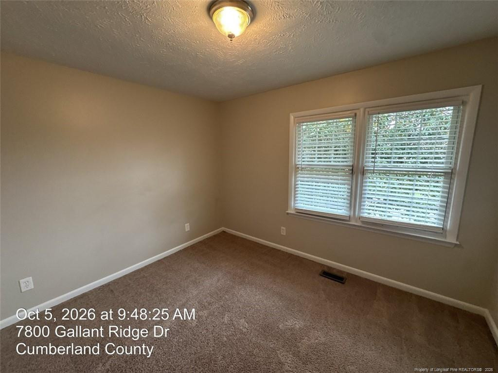 7800 Gallant Ridge Drive - Photo 19