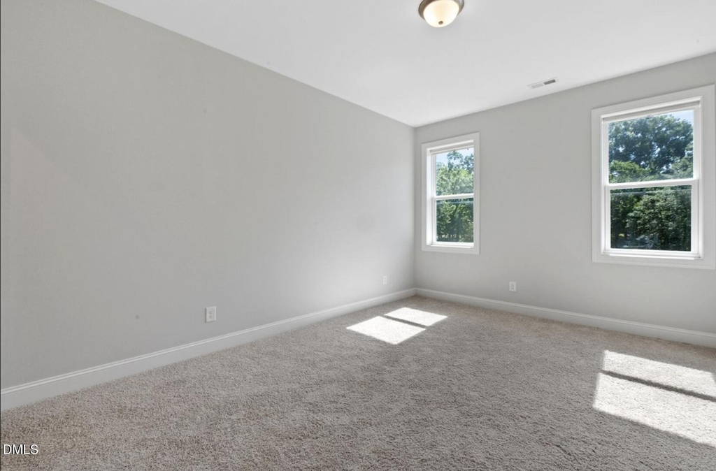 217 Tumbling River Drive - Photo 43