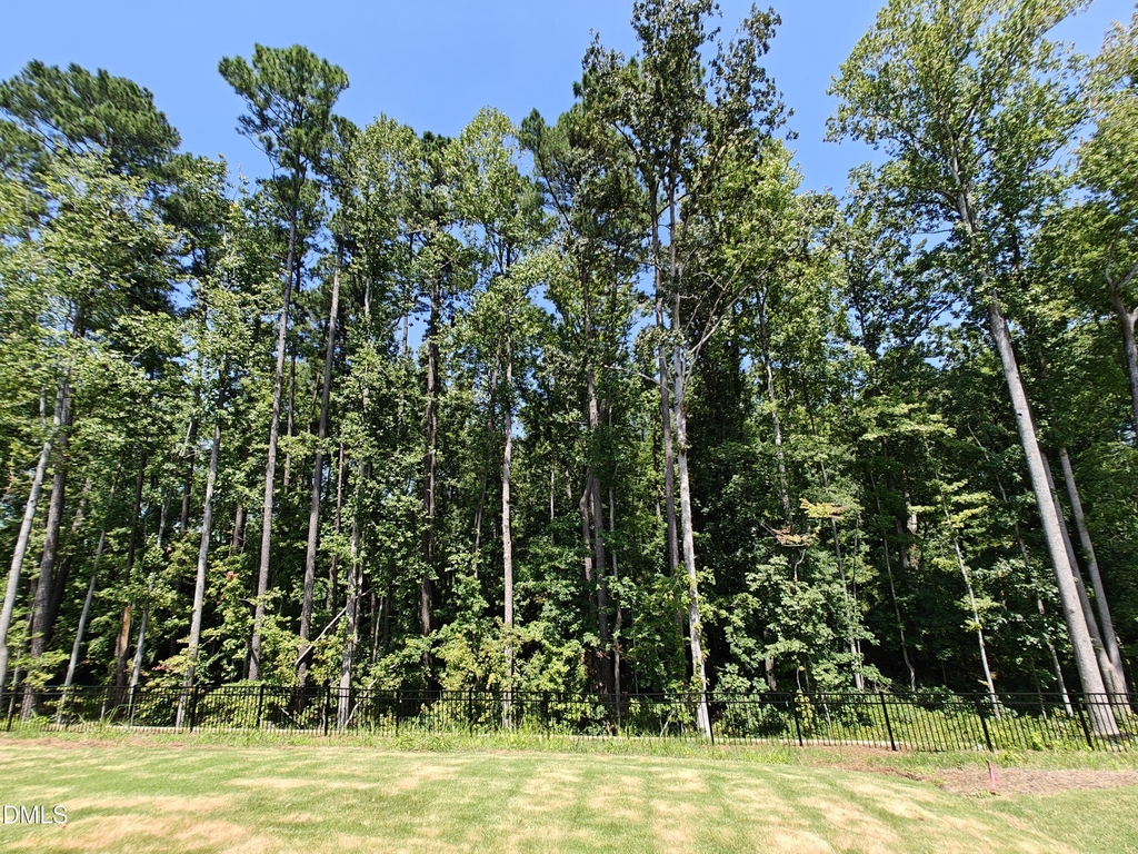1730 Alpine Summer Lane - Photo 25