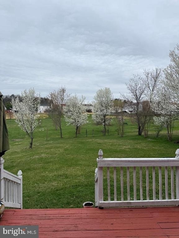12204 Stanfield Court - Photo 49