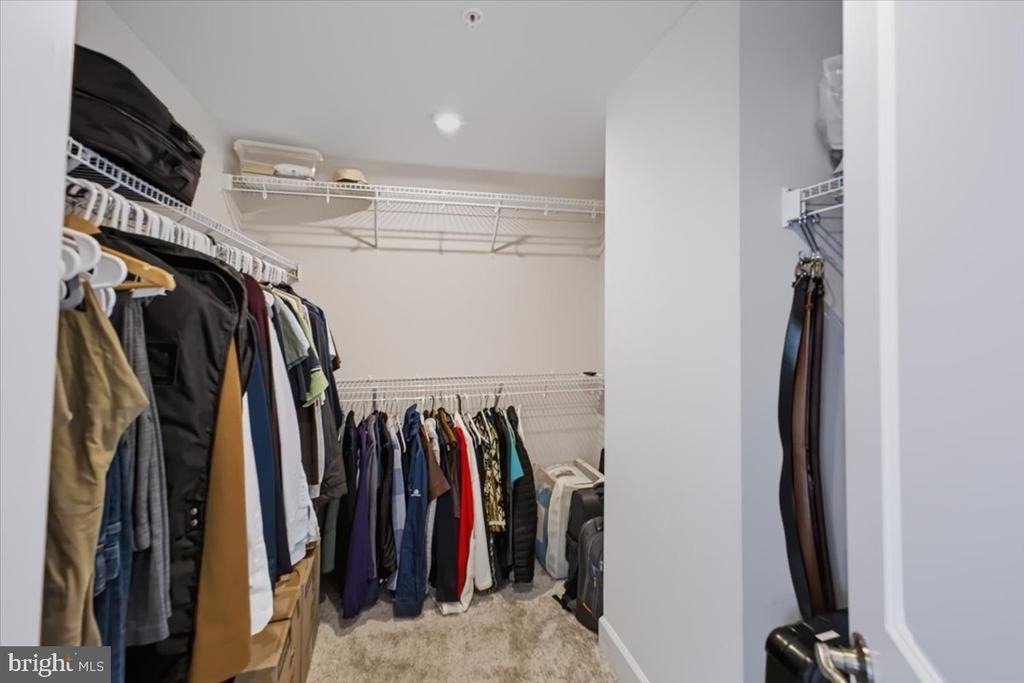 3529 Stella Blue Drive - Photo 31