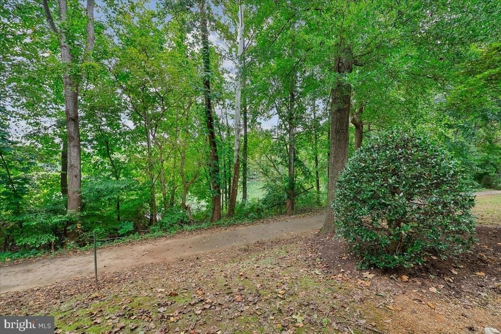 20404 Shore Harbour Drive - Photo 33