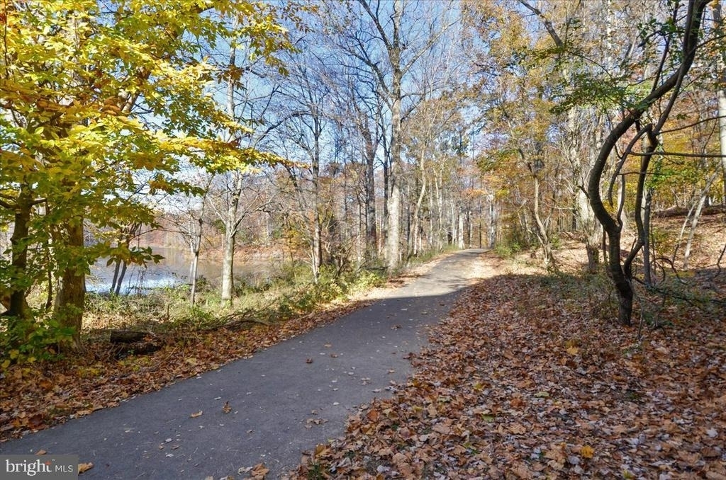 20404 Shore Harbour Drive - Photo 37