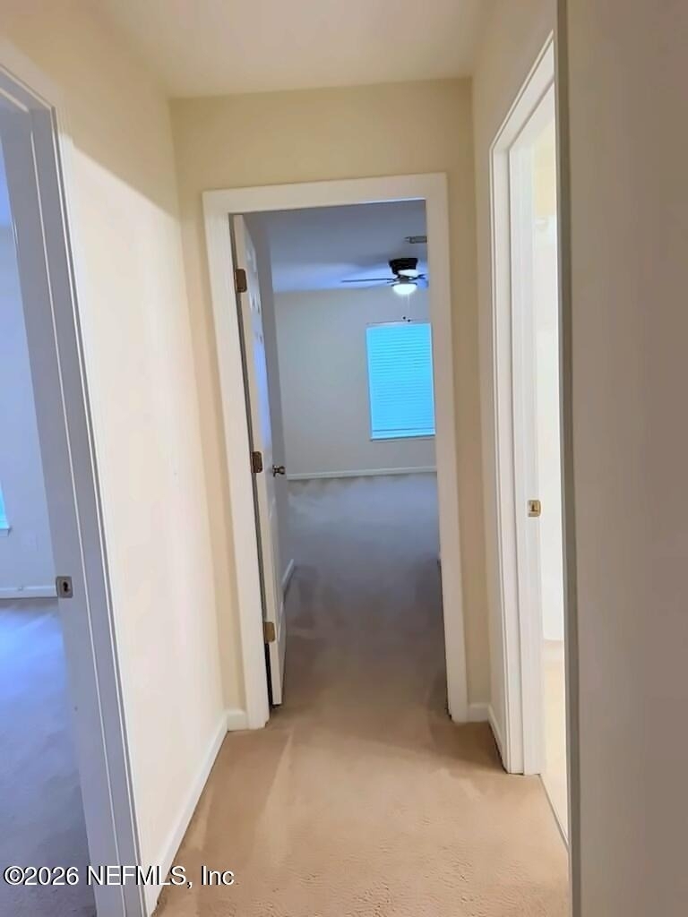 805 N Black Cherry Drive - Photo 9