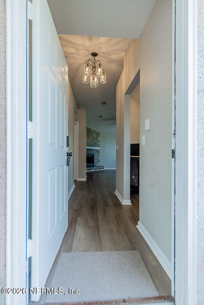 1067 Hibiscus Street - Photo 6