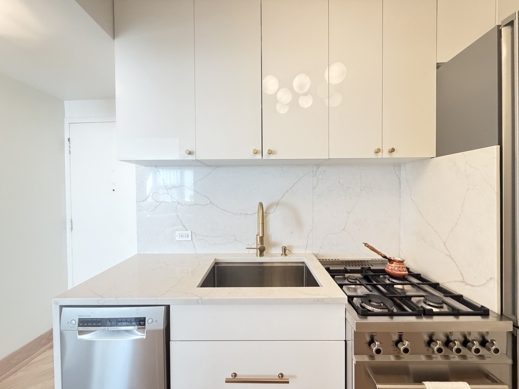 1150 N Lake Shore Drive - Photo 3