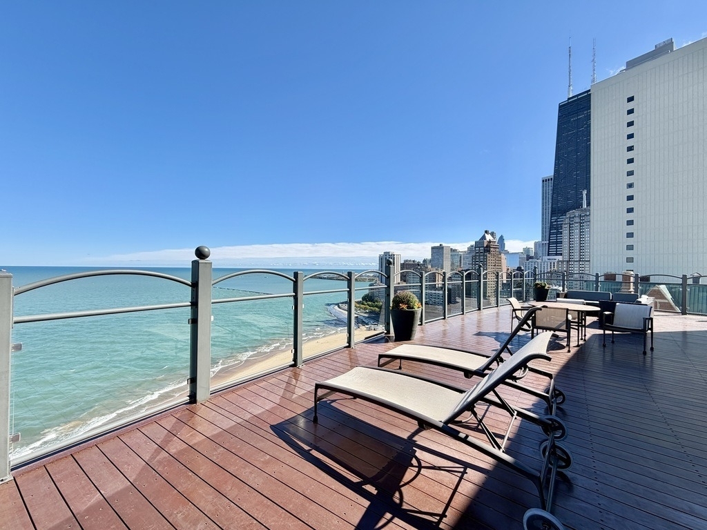 1150 N Lake Shore Drive - Photo 18