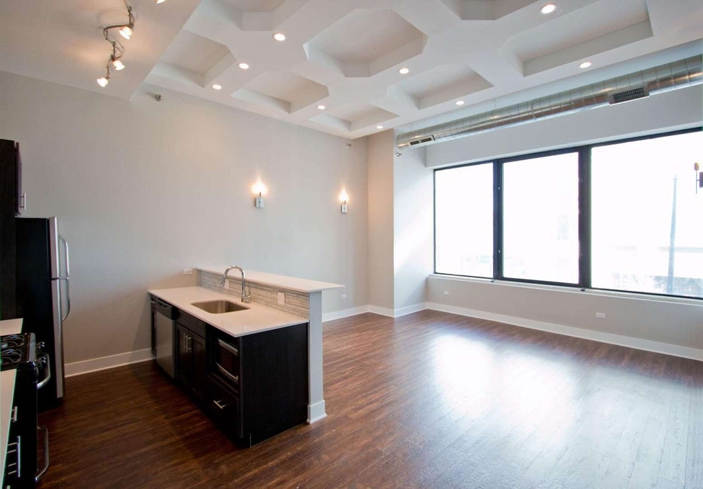 1338 S Michigan Avenue - Photo 1