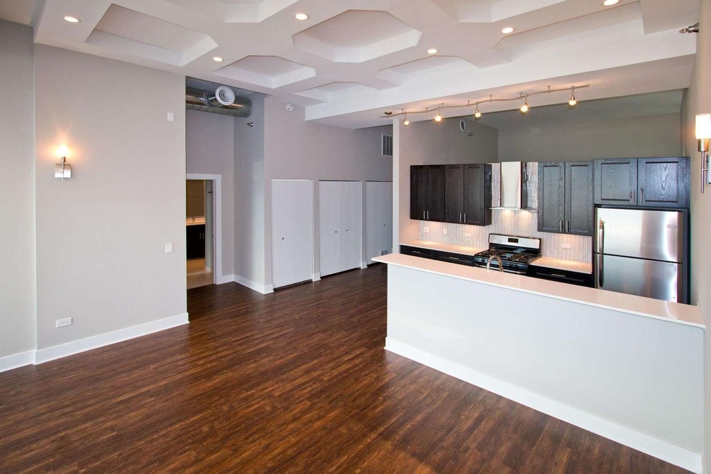 1338 S Michigan Avenue - Photo 4