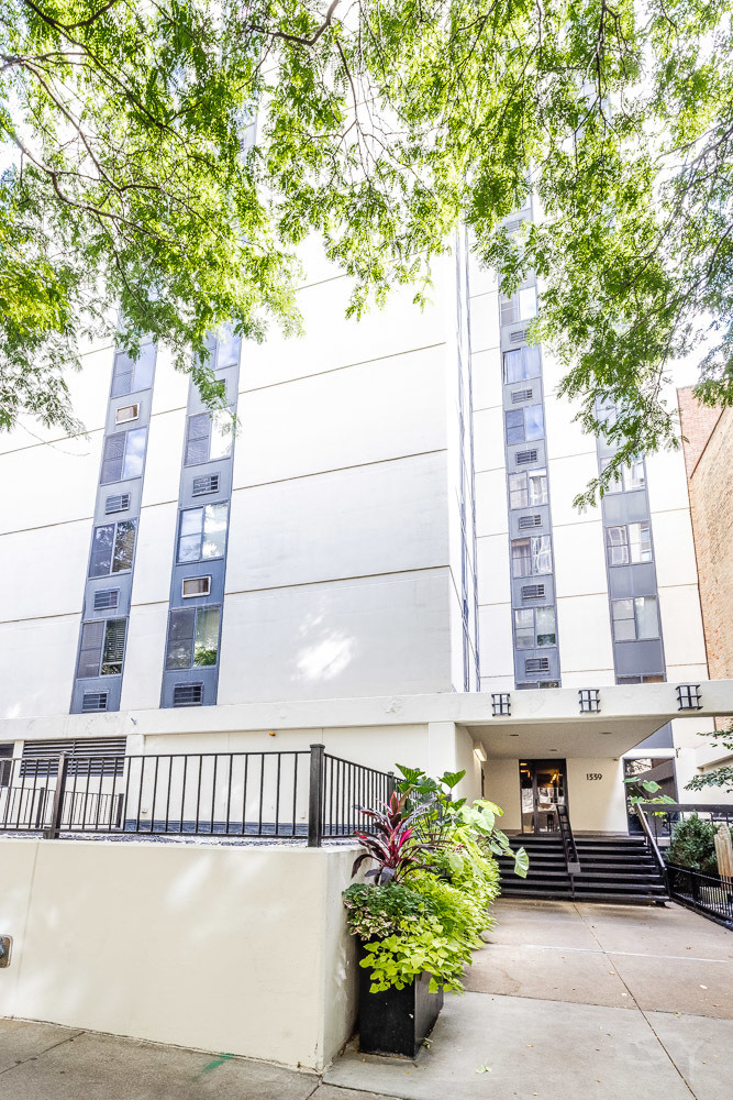 1339 N Dearborn Street - Photo 0