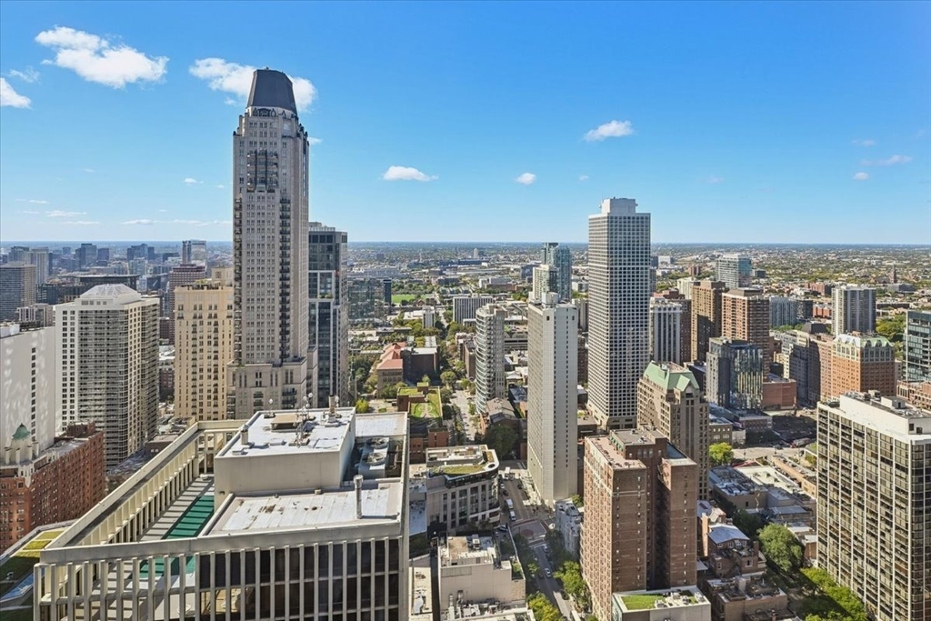 950 N Michigan Avenue - Photo 1