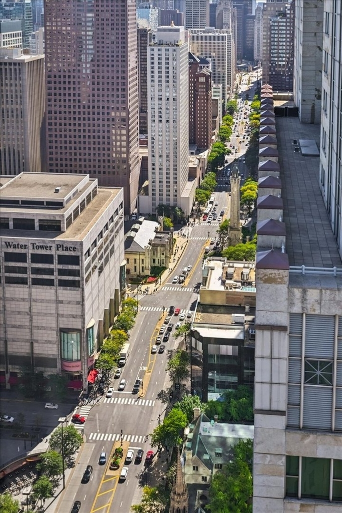 950 N Michigan Avenue - Photo 12