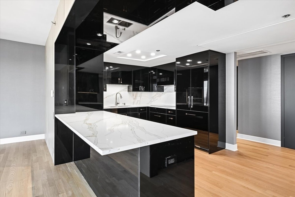 950 N Michigan Avenue - Photo 7