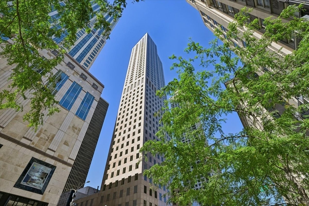 950 N Michigan Avenue - Photo 0