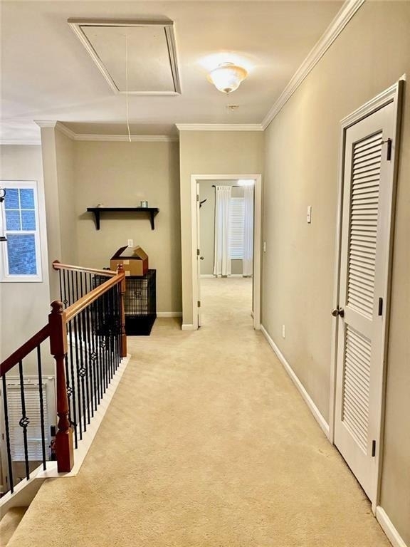 300 Snowgoose Court - Photo 10