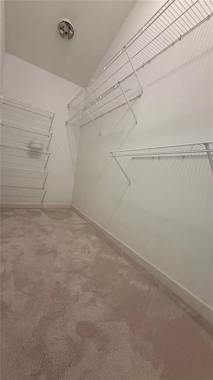 1186 Arbor Park Lane - Photo 55