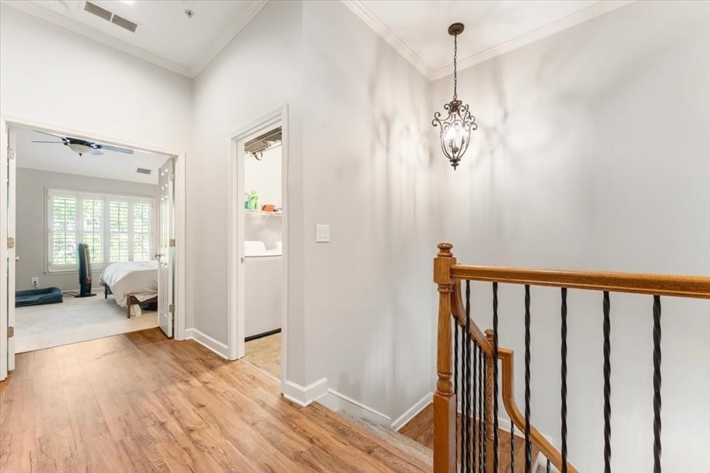 11257 Calypso Drive - Photo 12