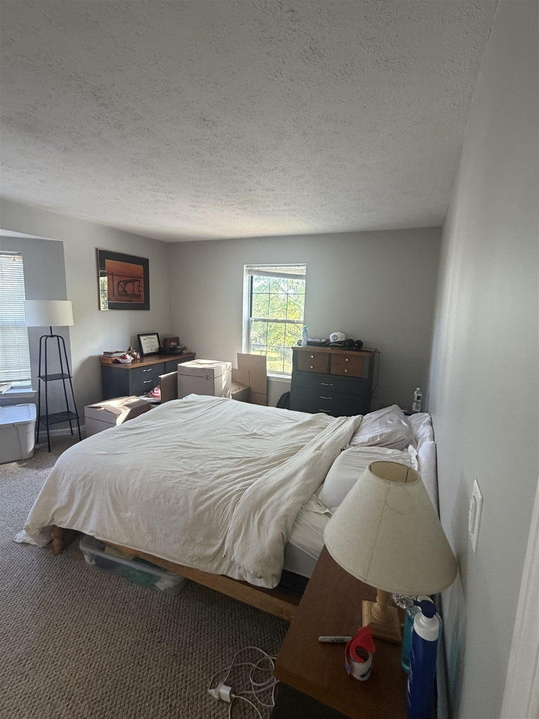 2 Galloway - Photo 12