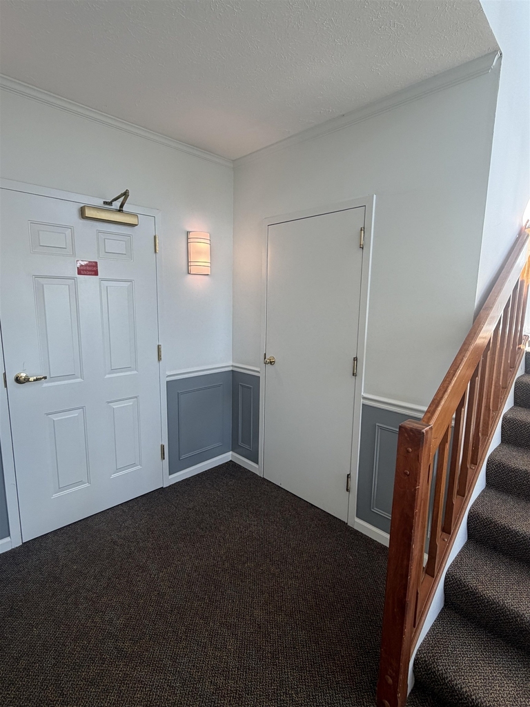 2 Galloway - Photo 2