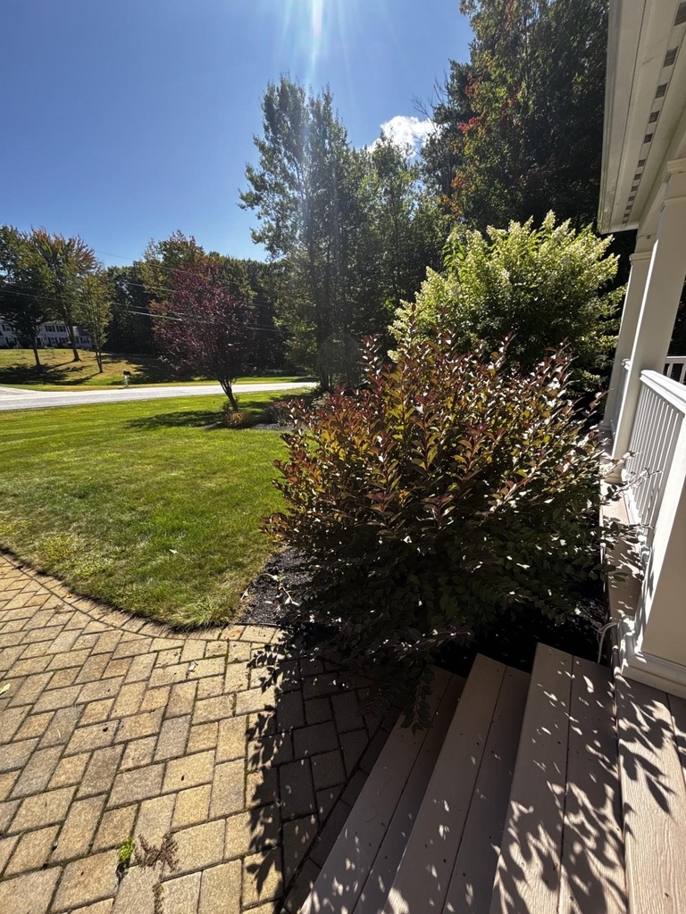 68 Bedford - Photo 42
