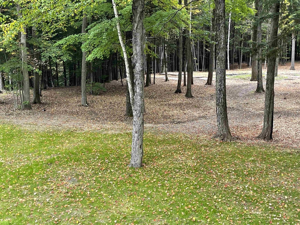 66 Saltmarsh Pond - Photo 1