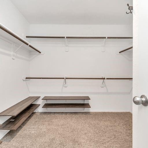 1827 Gibbons Creek Drive - Photo 22