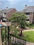 2121 El Paseo Street - Photo 5