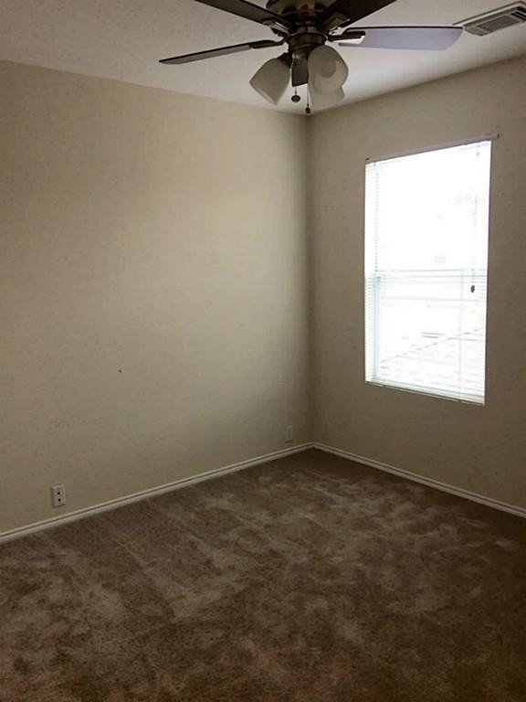 23826 Single Oak Street - Photo 19