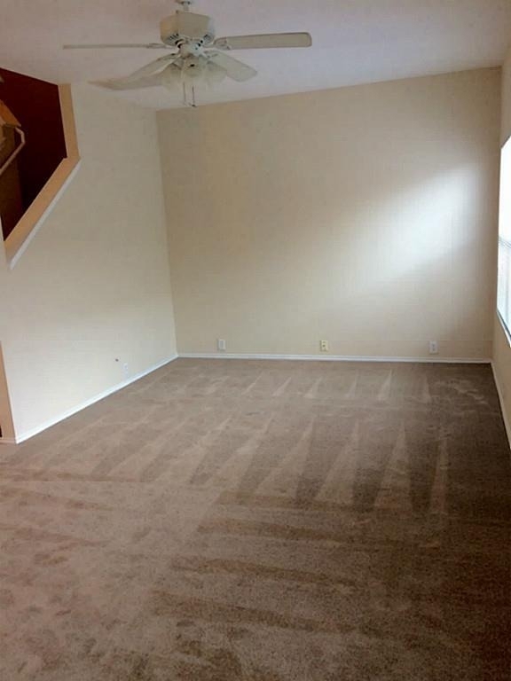 23826 Single Oak Street - Photo 10