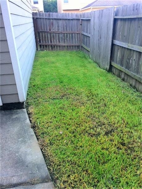 23826 Single Oak Street - Photo 26