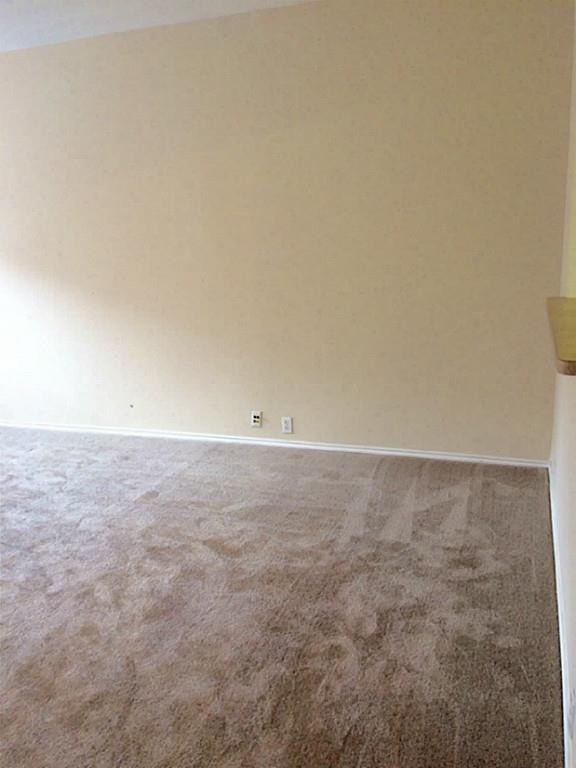 23826 Single Oak Street - Photo 11