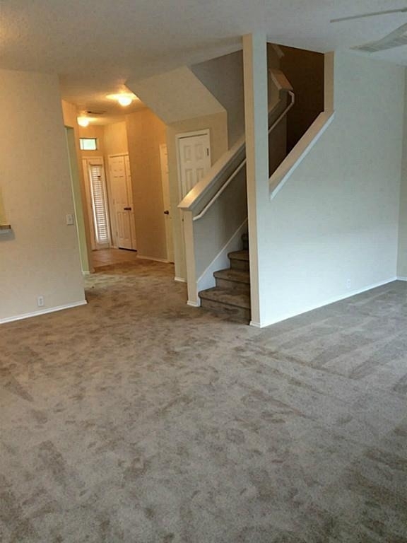 23826 Single Oak Street - Photo 9