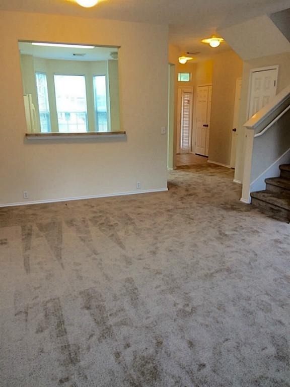 23826 Single Oak Street - Photo 8
