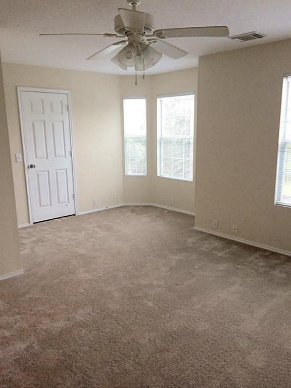 23826 Single Oak Street - Photo 14