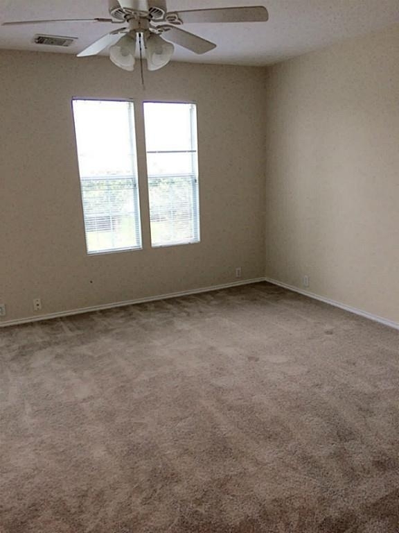 23826 Single Oak Street - Photo 13