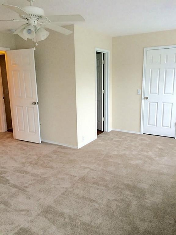 23826 Single Oak Street - Photo 15
