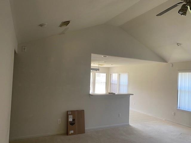 9306 Comanche Peak Lane - Photo 3