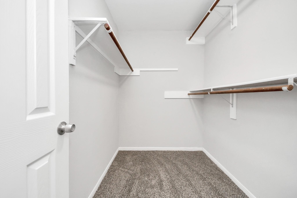 8510 Pine Falls Drive - Photo 19