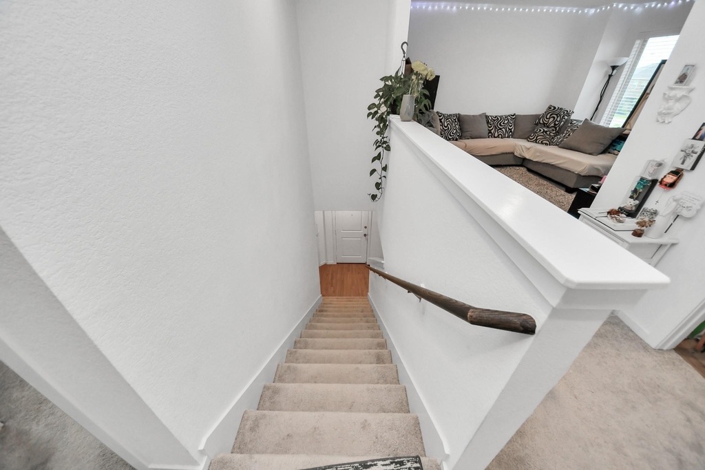 3016 Courtney Coral Lane - Photo 32