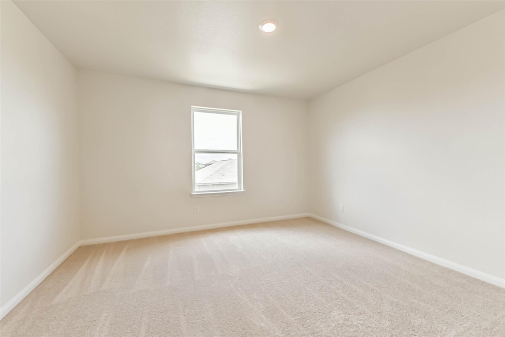 1123 Rare Fancy Drive - Photo 21