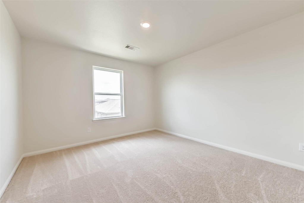 1123 Rare Fancy Drive - Photo 23