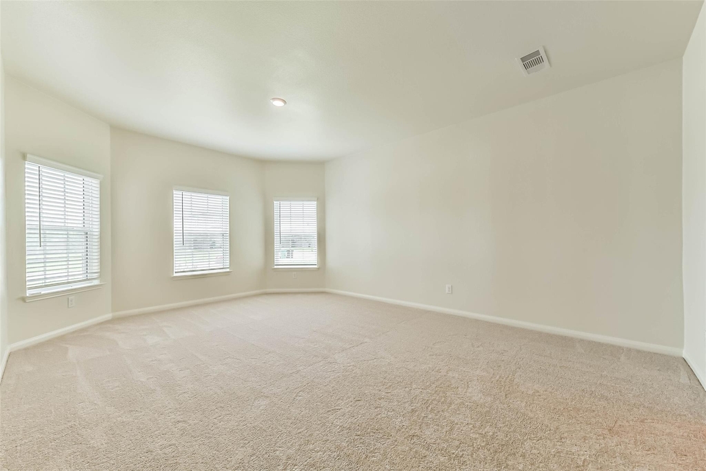 1123 Rare Fancy Drive - Photo 14