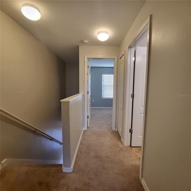 4060 Winding Vine Drive - Photo 21
