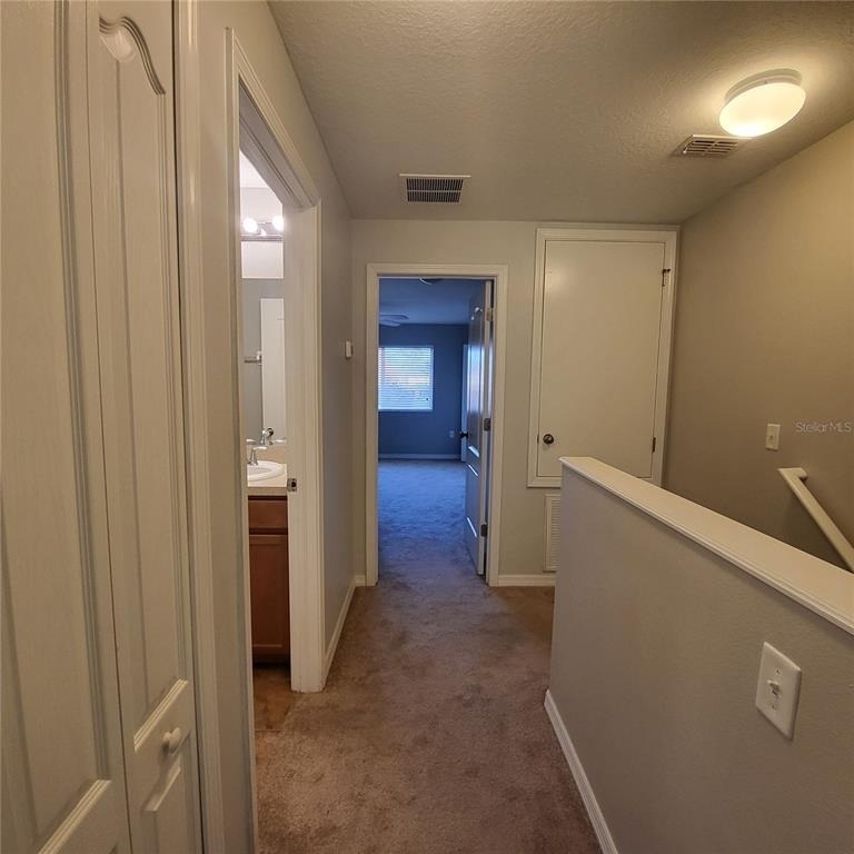 4060 Winding Vine Drive - Photo 20