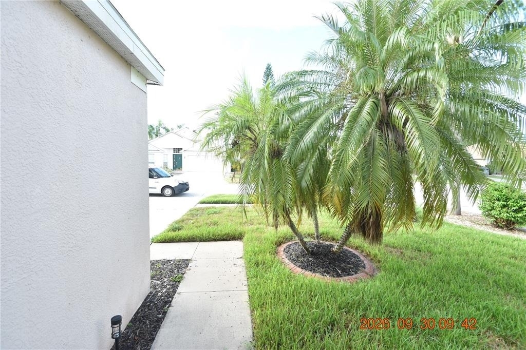12103 Dawn Vista Drive - Photo 5