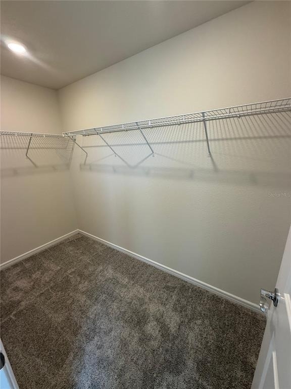 2135 Southbury Drive - Photo 10